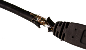 When is PAT Testing Required with Elite Gym Maintenance